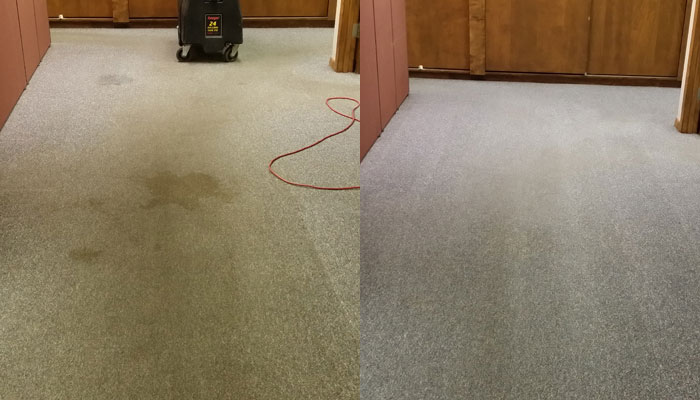 heavily stained carpet cleaned by Spark Cleaning Solutions