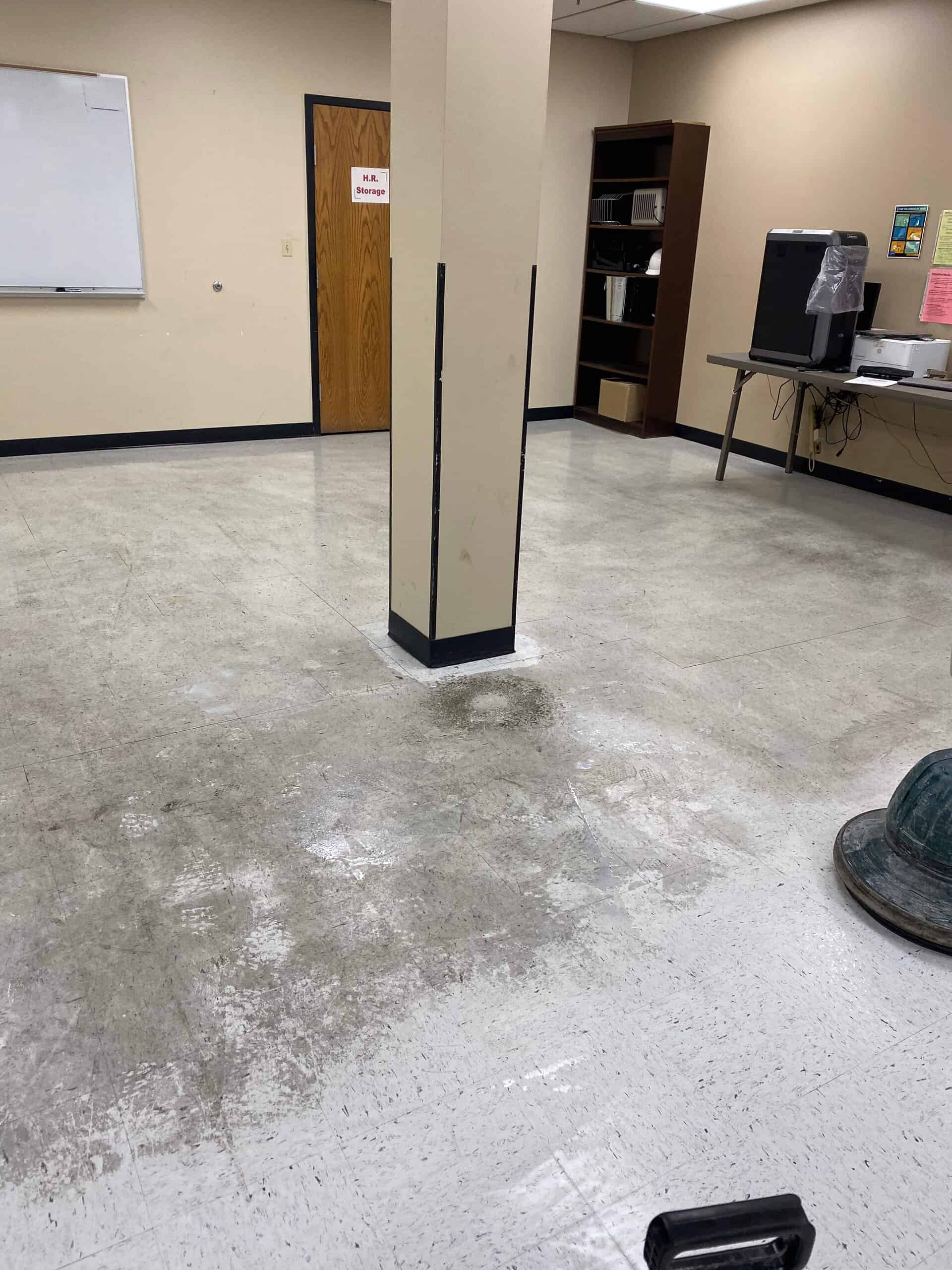 floor care green bay