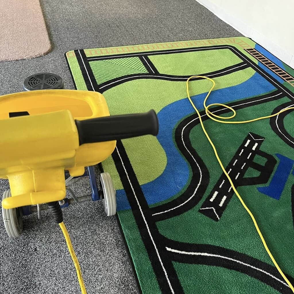 area rug cleaning services